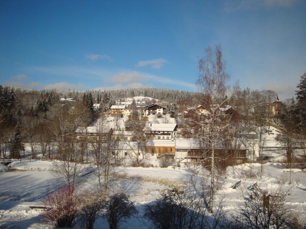 Apartments Josef Seitz Bayerisch Eisenstein Pokój zdjęcie